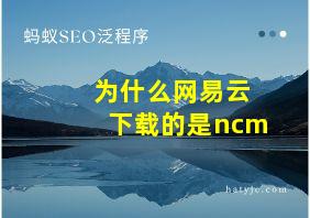 为什么网易云下载的是ncm