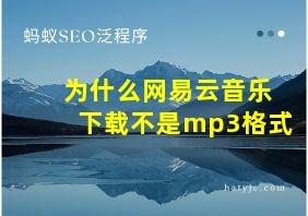 为什么网易云音乐下载不是mp3格式