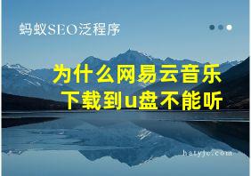 为什么网易云音乐下载到u盘不能听