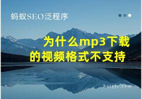 为什么mp3下载的视频格式不支持