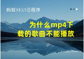 为什么mp4下载的歌曲不能播放