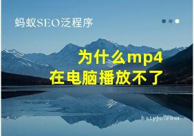 为什么mp4在电脑播放不了