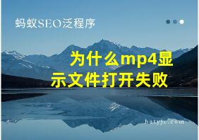 为什么mp4显示文件打开失败