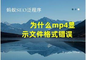 为什么mp4显示文件格式错误