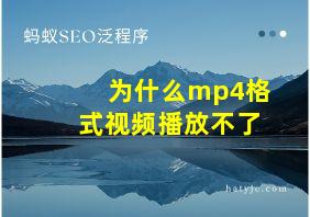 为什么mp4格式视频播放不了