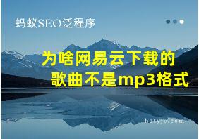 为啥网易云下载的歌曲不是mp3格式