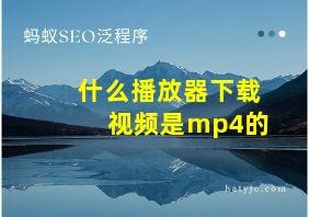 什么播放器下载视频是mp4的