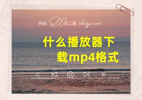 什么播放器下载mp4格式