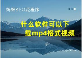 什么软件可以下载mp4格式视频