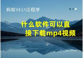 什么软件可以直接下载mp4视频