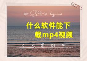 什么软件能下载mp4视频