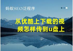 从优酷上下载的视频怎样传到u盘上