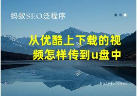 从优酷上下载的视频怎样传到u盘中