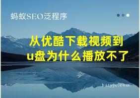 从优酷下载视频到u盘为什么播放不了