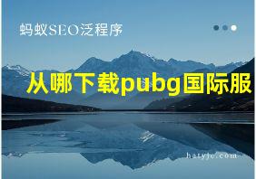 从哪下载pubg国际服