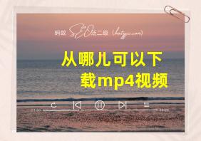 从哪儿可以下载mp4视频