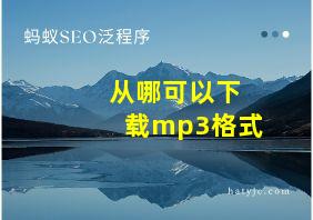 从哪可以下载mp3格式