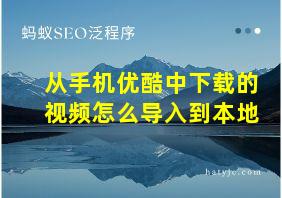 从手机优酷中下载的视频怎么导入到本地