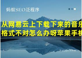 从网易云上下载下来的音乐格式不对怎么办呀苹果手机