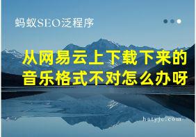 从网易云上下载下来的音乐格式不对怎么办呀