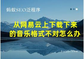 从网易云上下载下来的音乐格式不对怎么办