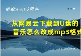 从网易云下载到U盘的音乐怎么改成mp3格式