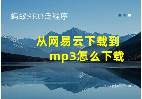 从网易云下载到mp3怎么下载