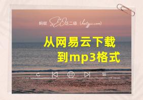 从网易云下载到mp3格式