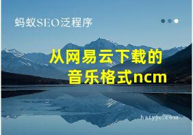 从网易云下载的音乐格式ncm