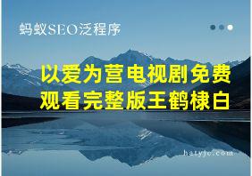 以爱为营电视剧免费观看完整版王鹤棣白