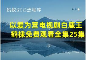 以爱为营电视剧白鹿王鹤棣免费观看全集25集