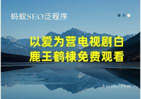 以爱为营电视剧白鹿王鹤棣免费观看