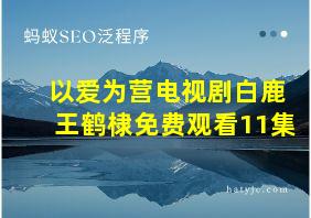 以爱为营电视剧白鹿王鹤棣免费观看11集