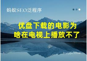 优盘下载的电影为啥在电视上播放不了