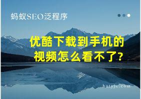 优酷下载到手机的视频怎么看不了?