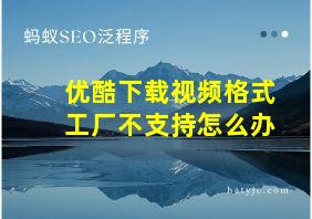 优酷下载视频格式工厂不支持怎么办