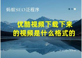 优酷视频下载下来的视频是什么格式的