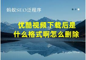 优酷视频下载后是什么格式啊怎么删除