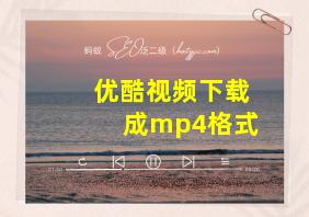 优酷视频下载成mp4格式