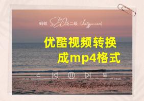 优酷视频转换成mp4格式