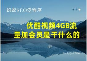 优酷视频4GB流量加会员是干什么的