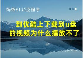 到优酷上下载到u盘的视频为什么播放不了