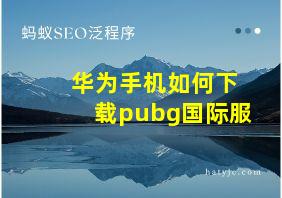 华为手机如何下载pubg国际服