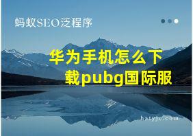 华为手机怎么下载pubg国际服