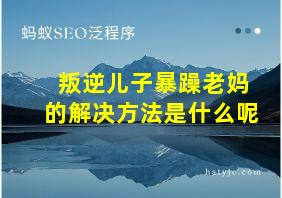 叛逆儿子暴躁老妈的解决方法是什么呢