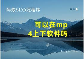 可以在mp4上下软件吗