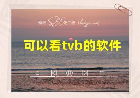 可以看tvb的软件