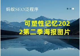 可塑性记忆2022第二季海报图片