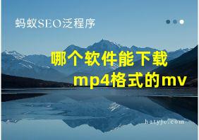 哪个软件能下载mp4格式的mv