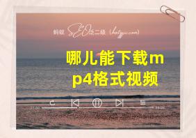 哪儿能下载mp4格式视频